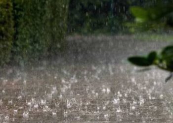 هذه توقعات أحوال الطقس لنهار اليوم