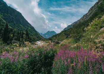 توقعات أحوال الطقس لنهار اليوم