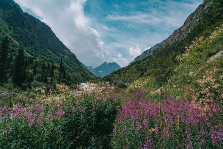 توقعات أحوال الطقس لنهار اليوم