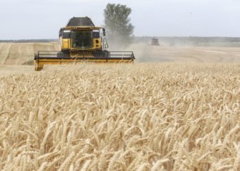 بسبب الحرب في أوكرانيا..أزمة غذائية تلوح في الأفق