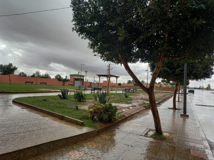 توقعات أحوال الطقس لنهار اليوم