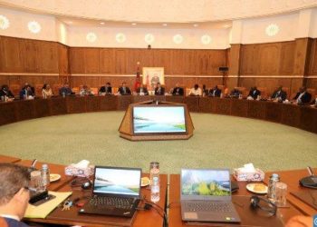 إشادة كبيرة من سفراء  بلدان أفارقة بسياسة المغرب في مجال الهجرة