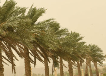 نشرة إنذارية.. زخات رعدية ورياح قوية مرتقبة بعدد من المناطق