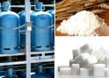وزيرة الاقتصاد والمالية..دعم الحكومة للسكر  والغاز  والقمح سيستمر