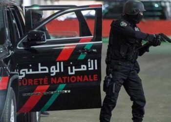 مراكش..شرطي يستعمل سلاحه الوظيفي لتحييد خطر  صادر عن شخص وكلب شرس
