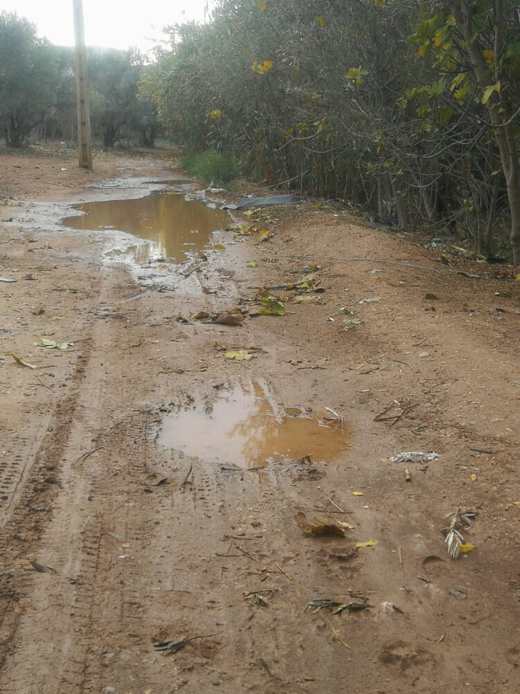 ساكنة دوار أولاد امحمد بعين الشقف تطالب باصلاح الطريق المسماة “لكندول”