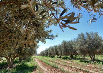 هذه توقعات أحوال الطقس لنهار اليوم