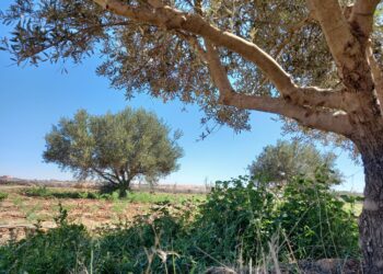 هذه توقعات أحوال الطقس لنهار اليوم