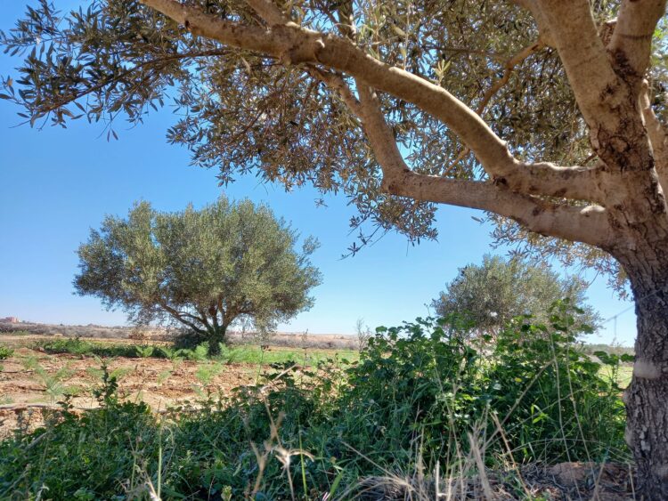 هذه توقعات أحوال الطقس لنهار اليوم
