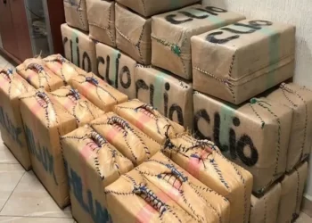 الدار البيضاء..إجهاض محاولة لتهريب المخدرات وحجز كمية كبيرة