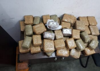 طنجة.. إحباط محاولة تهريب كمية من مخدر الشيرا