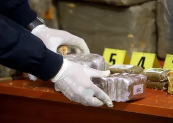 بضواحي المحمدية والجديدة..حجز أكثر من 11 طن من مخدر الشيرا