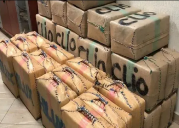 معبر الكركارات..إحباط محاولة لتهريب مخدر الشيرا