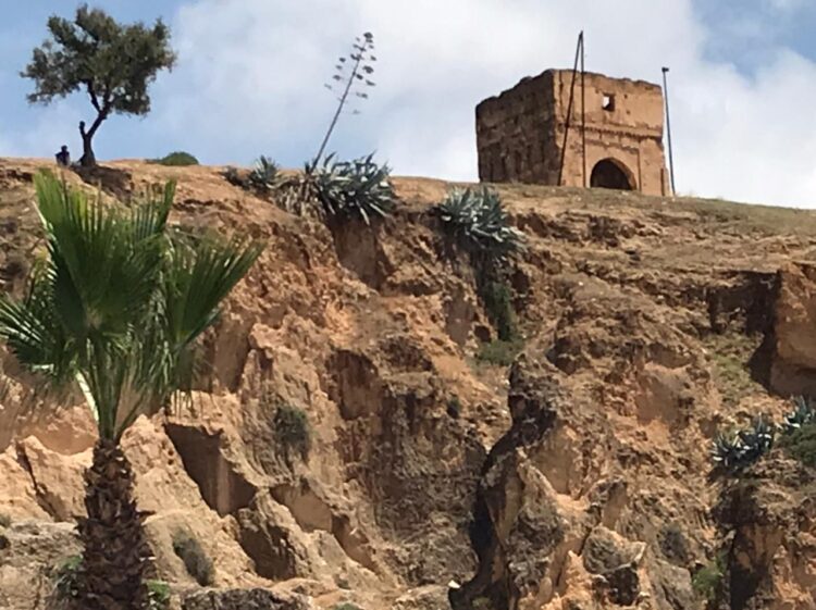 هذه توقعات أحوال الطقس لنهار اليوم