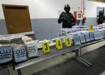ميناء طنجة..إجهاض عملية للتهريب الدولي للمخدرات القوية
