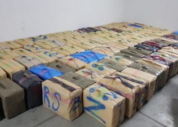 ميناء طنجة المتوسط .. إحباط محاولة تهريب أزيد من طن من مخدر الشيرا