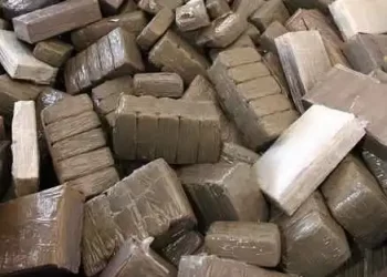 طنجة: إحباط محاولة تهريب 80 كيلوغرام من مخدر الشيرا