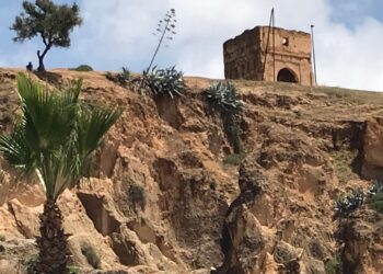 توقعات أحوال الطقس لنهار اليوم