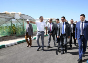  تدشين أول معمل لتحويل القنب الهندي المشروع