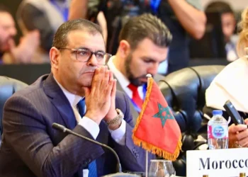 انتخاب المغرب عضوا بالمكتب التنفيذي لمجلس الوزراء العرب للكهرباء