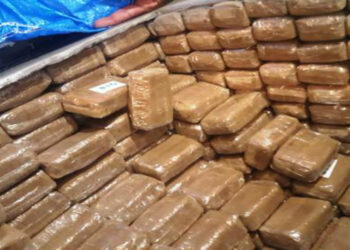 إيمينتانوت..إحباط محاولة تهريب كمية كبيرة  من مخدر الشيرا