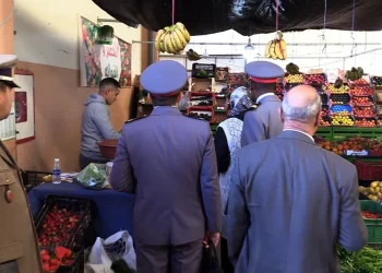 إطلاق رقم هاتفي جديد لتلقي شكايات المواطنين حول أسعار وجودة المواد الاستهلاكية