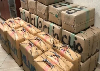 مولاي بوسلهام.. إحباط محاولة لتهريب كمية كبيرة من مخدر الشيرا وتوقيف شخصين